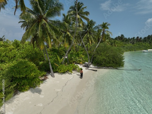 Fototapeta Naklejka Na Ścianę i Meble -  Beautiful paradise white sand beach in Maldives drone shot