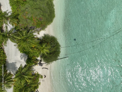 Beautiful paradise white sand beach in Maldives maafushi deserted island palm tree photo