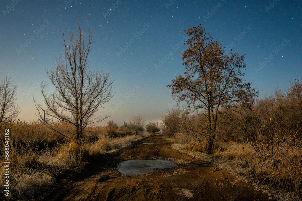 sunrise in the forest Forest in the night . Night landscape. Nightsky and clouds . Stars in the sky . Lights of the moon . Evening forest . Landscapes of Ukraine . Night and morning time sunrise in the forest Forest in the night . Night landscape. Nightsky and clouds . Stars in the sky . Lights of the moon . Evening forest . Landscapes of Ukraine . Night and morning time