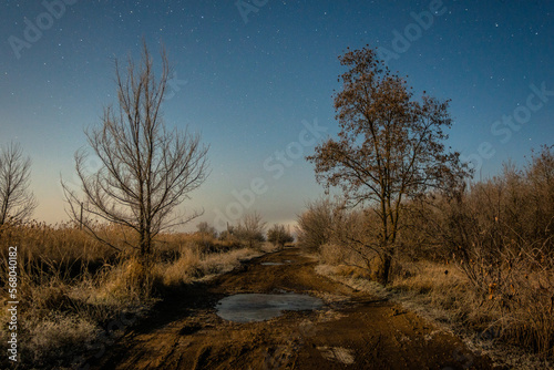 sunrise in the forest Forest in the night . Night landscape. Nightsky and clouds . Stars in the sky . Lights of the moon . Evening forest . Landscapes of Ukraine . Night and morning time 