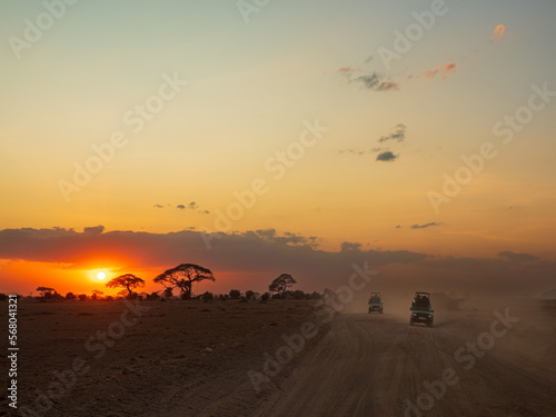 The sun is setting over the acacia trees next t o the road of Amboseli National Park  Kenya  Africa. Place for text