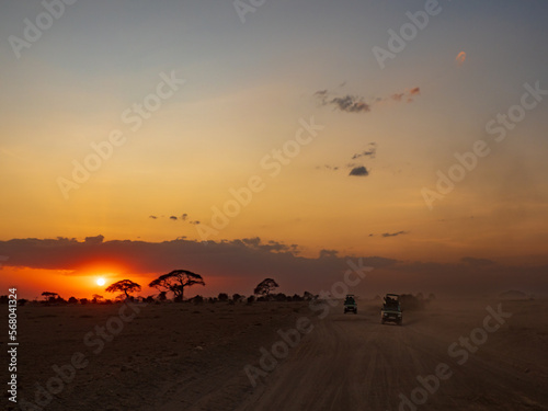 The sun is setting over the acacia trees next t o the road of Amboseli National Park  Kenya  Africa. Place for text