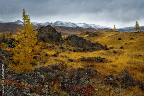 Russia. The South of Western Siberia  the Altai Mountains. The beginning of autumn on picturesque rocky placers in the Kurai steppe along the Chui tract.
