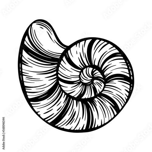 Black marine seashell, mollusk or snail for design of invitation, fabric, textile, etc.