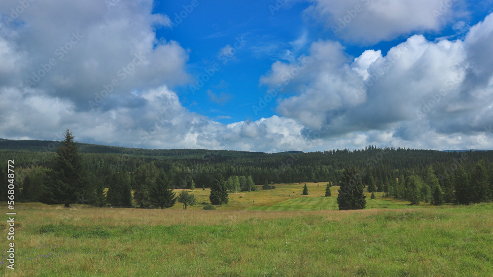 A view to the beautiful summer landscape from meadows at Knizeci Plane, Czech republic