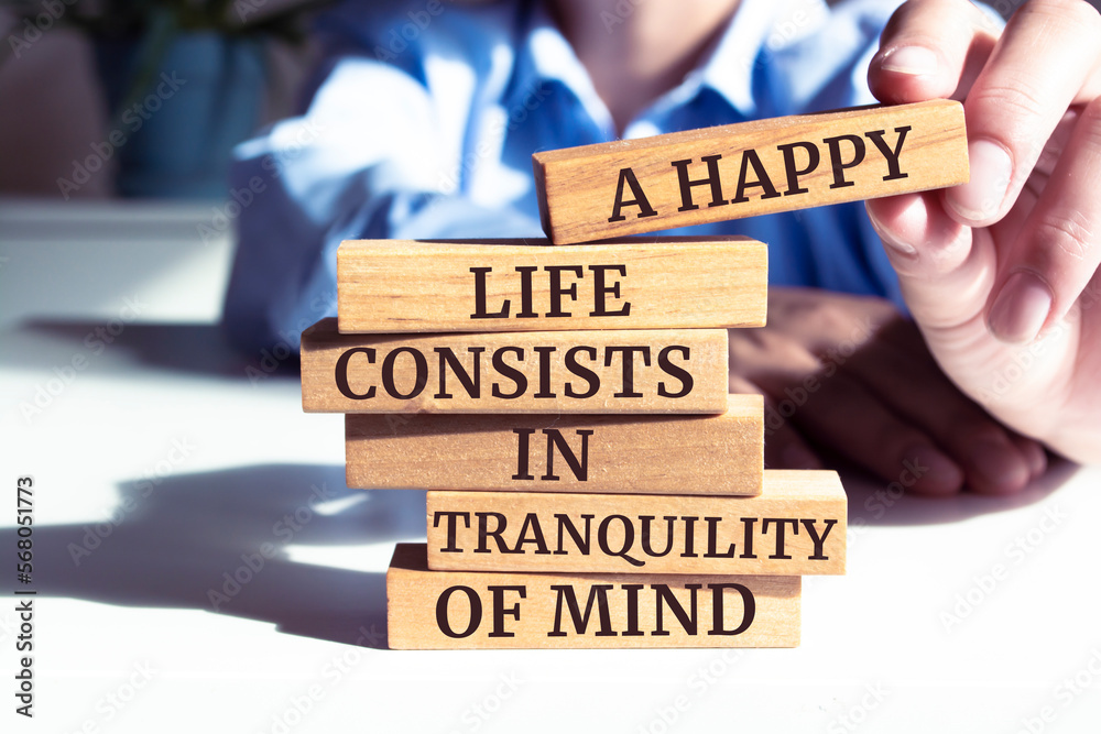 Φωτογραφία Close up on businessman holding a wooden block with A happy life consists in tr