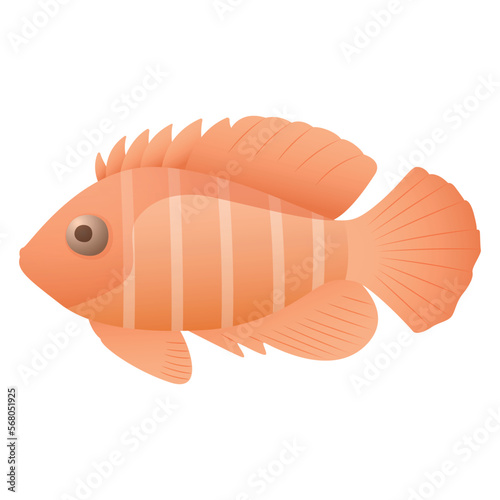 Vector isolated cartoon illustration of a goldfish.