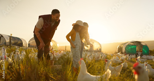 Chicken, family and farm with a girl, mother and father working in the poultry farming industry. Agriculture, sustainability or love with a woman, kid and man at work as bird farmer in nature outdoor