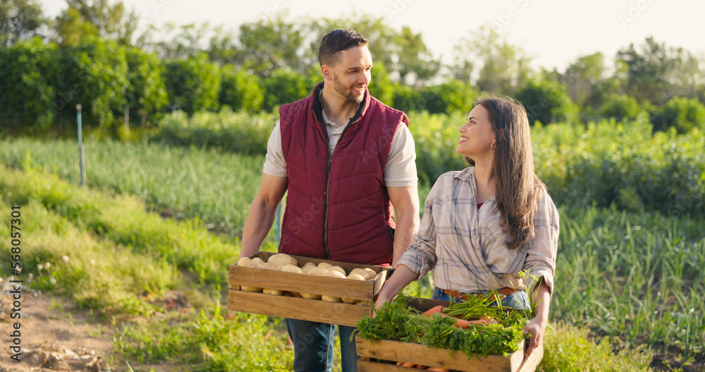 Vegetables box, agriculture and farmer couple portrait in countryside  lifestyle, food market production and supply chain. Agro business owner  people, seller or supplier with green product harvest Stock Photo | Adobe  Stock