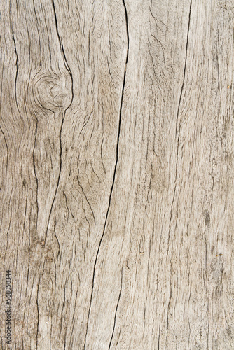 Wood surface Background Texture