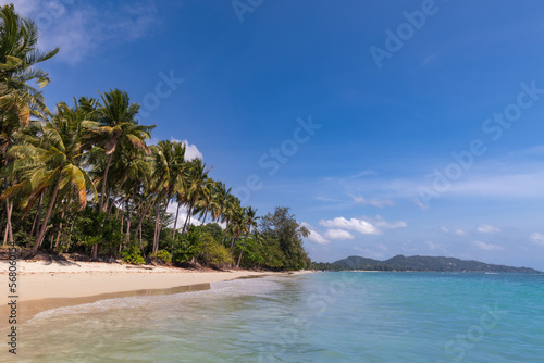 Sandy beach at tropical paradise with palm trees on sea shore and turquoise ocean, Samui, Thailand