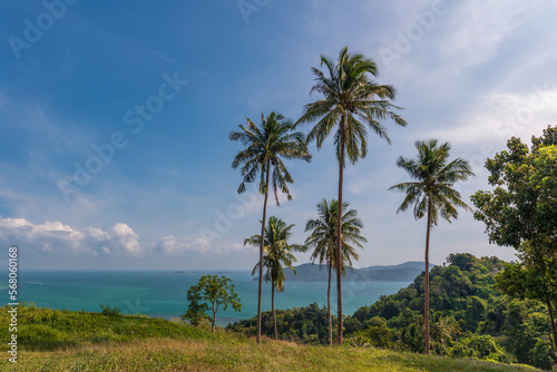 Tropical paradise with tall palm trees on hill top, turquoise ocean and islands, Samui, Thailand