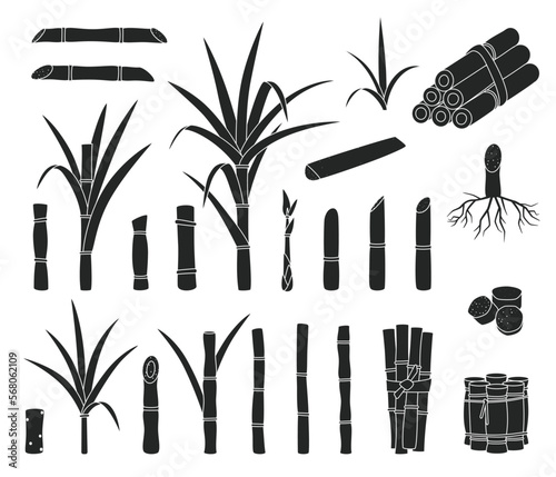Sugar cane isolated black set icon. Vector black set icon sugarcane. Vector illustration sugar cane on white background.