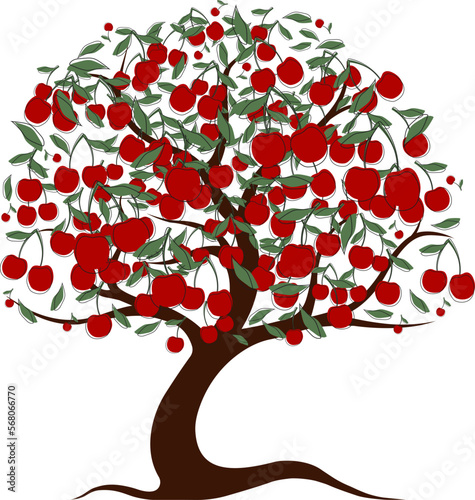 Tree with ripe cherries. Big fruit tree. Cherry tree. Cherry vector.
