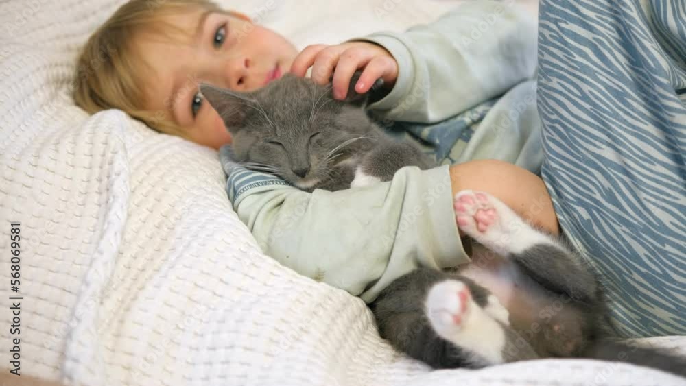 Portrait of Funny Little Boy Cuddling Gray Kitten Lying in a Bed. Pet and Children Concept. Young Cat and Happy Smiling Kid Sleeping Together at Home. Kitty Lovely Resting. Love to Animals. Close Up