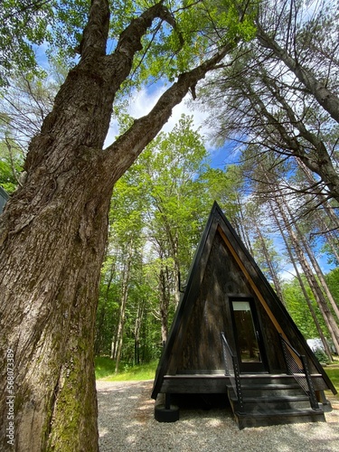 A Frame Cabin in the forest