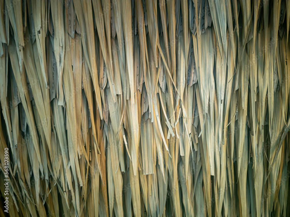Wall made from dried palm or coconut leaves. Wall made from dried palm or coconut leaves.