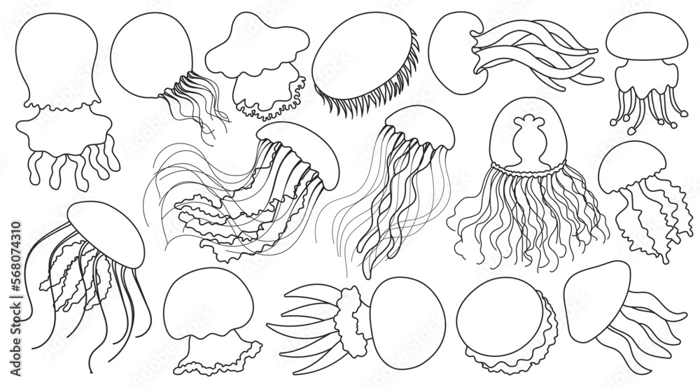 Obraz premium Jellyfish vector outline icon. Isolated outline set icon medusa.Vector illustration jellyfish on white background .