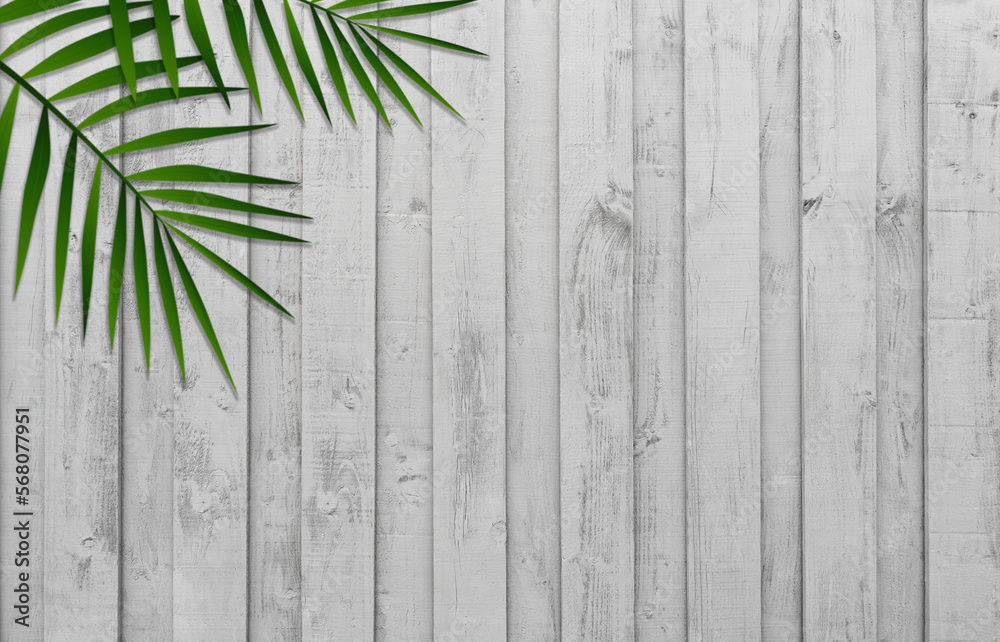 White Wood with blurry coconut palm leaves background,Blurred Green Branches of leaf on Washed wooden texture, Vintage garden fence wall surface,Wide horizon Background plank table for product Present White Wood with blurry coconut palm leaves background,Blurred Green Branches of leaf on Washed wooden texture, Vintage garden fence wall surface,Wide horizon Background plank table for product Present