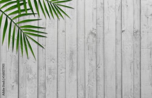 White Wood with blurry coconut palm leaves background,Blurred Green Branches of leaf on Washed wooden texture, Vintage garden fence wall surface,Wide horizon Background plank table for product Present