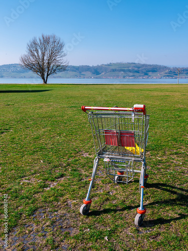 An empty shopping cart, abandoned on the meadow by Lake Murten