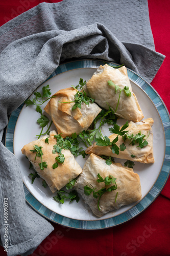 Greek style filo pastry parcels on plate with parsley dressing. Dishcloth and red background to dress.