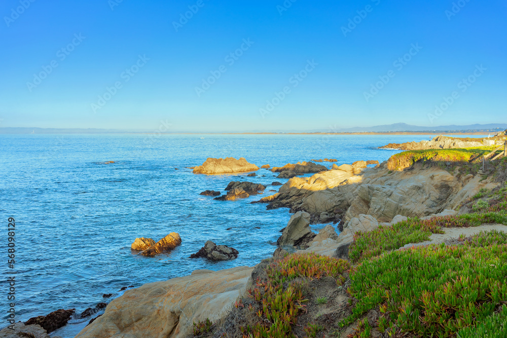 Rock formation and green plants on the shoreline of Monterey Bay in California