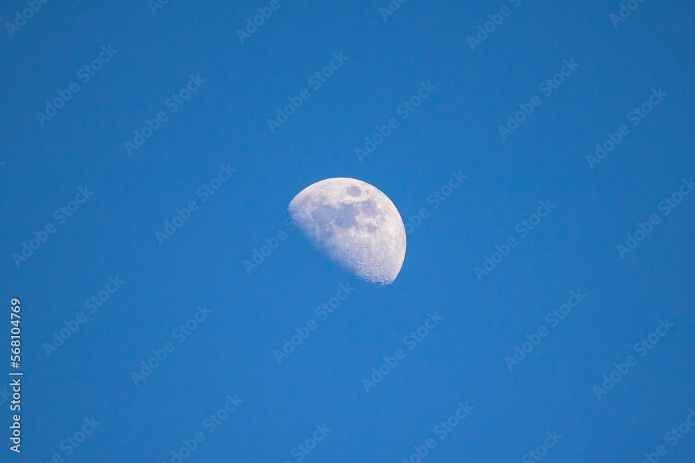 The half moon(waxing moon) with the blue sky. The half moon(waxing moon) with the blue sky.