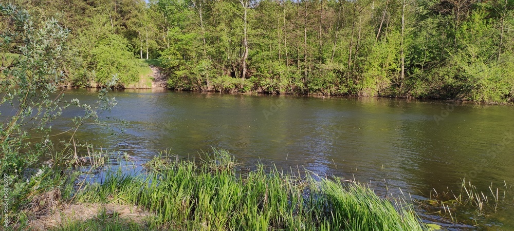 water water