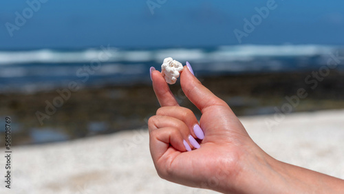 La mano de mujer con uñas rosadas sosteniendo un rodolito en forma de palomitas de maíz en la playa El Hierro o Playa de las palomitas en Fuerteventura, Islas Canarias.