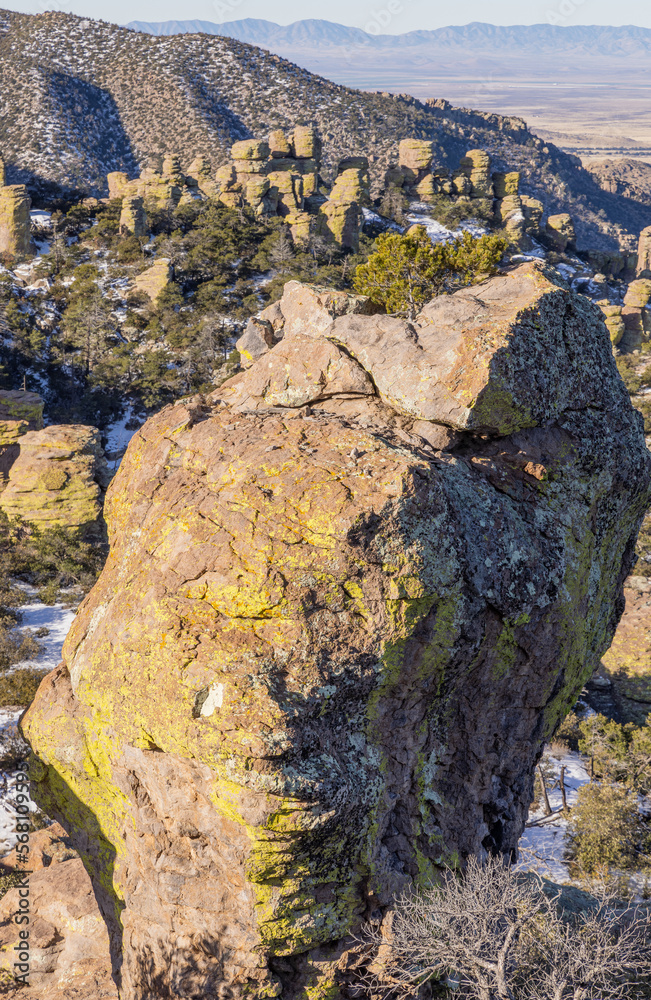Obraz premium Scenic Landscape in Chiricahua National Monument Arizona in Winter