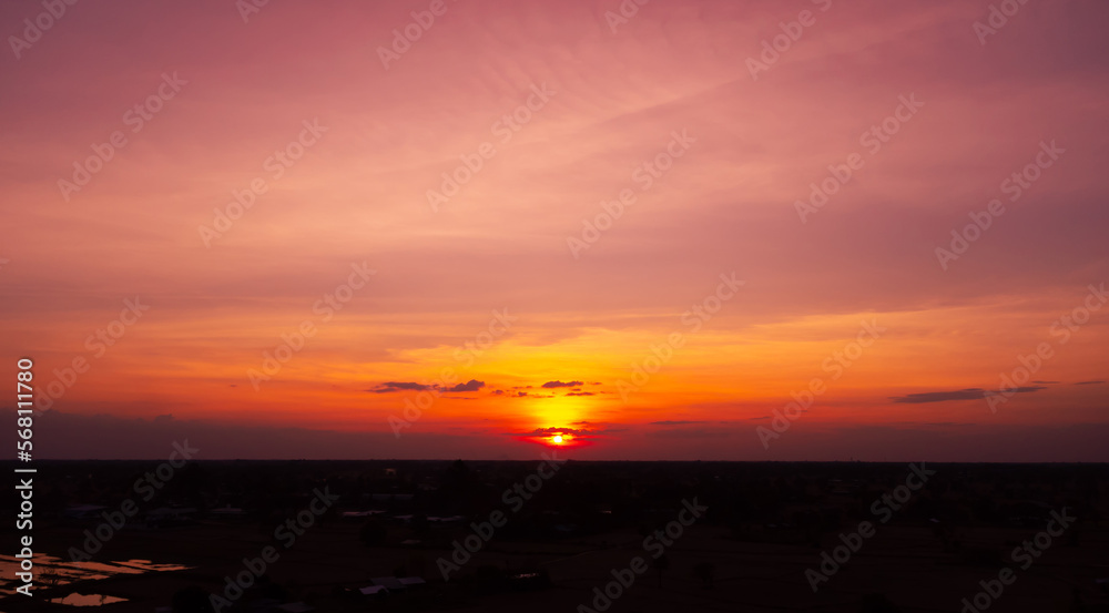 Amazing sunset and sunrise.Panorama silhouette tree in africa with sunset.Dark tree on open field dramatic sunrise.Safari theme. Amazing sunset and sunrise.Panorama silhouette tree in africa with sunset.Dark tree on open field dramatic sunrise.Safari theme.