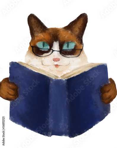 Photos Ilustraci√≥n de gato estudiando, con lentes, sin fondo e imagen completa