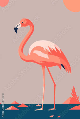 Flamingo vector illustration. Cartoon flamingo. Flamingo.