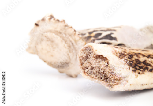 Antler chew for dogs, close up. Chewed on stuffed deer antler stick. Long-lasting dog chew for medium to large dogs. Helps cleaning teeth and reduce boredom. Source of calcium. Selective focus.