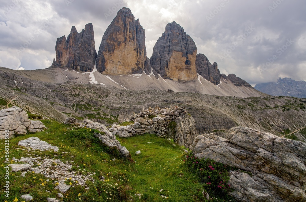 Drei Zinnen or Tre Cime di Lavaredo with beautiful flowering meadow, Sextener Dolomiten or Dolomiti di Sesto, South Tirol, Italian alps