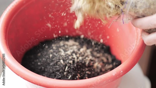 Close up organic soil for growing plants at home