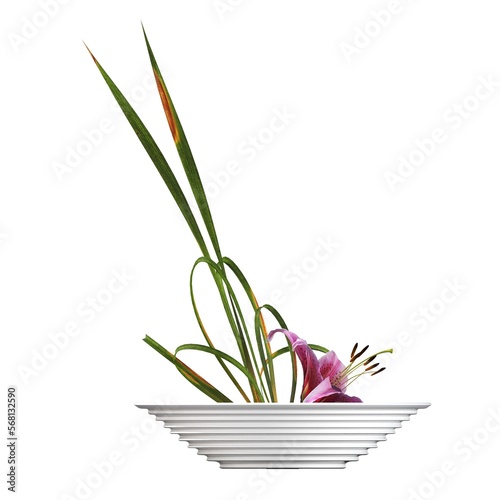 decorative flowers and plants for the interior  isolated on white background  3D illustration  cg render