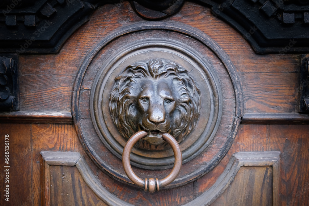 Close-up of a beautiful door handle in the form of a lion's head
