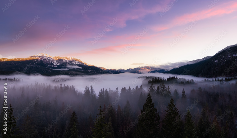 Green Trees in Forest with Fog and Mountains. Sunrise Sky Art Render. Canadian Nature Landscape Background. Near Squamish, British Columbia, Canada. Panorama