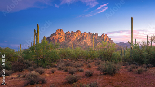 Ragged Top in Ironwood Forest National Monument.