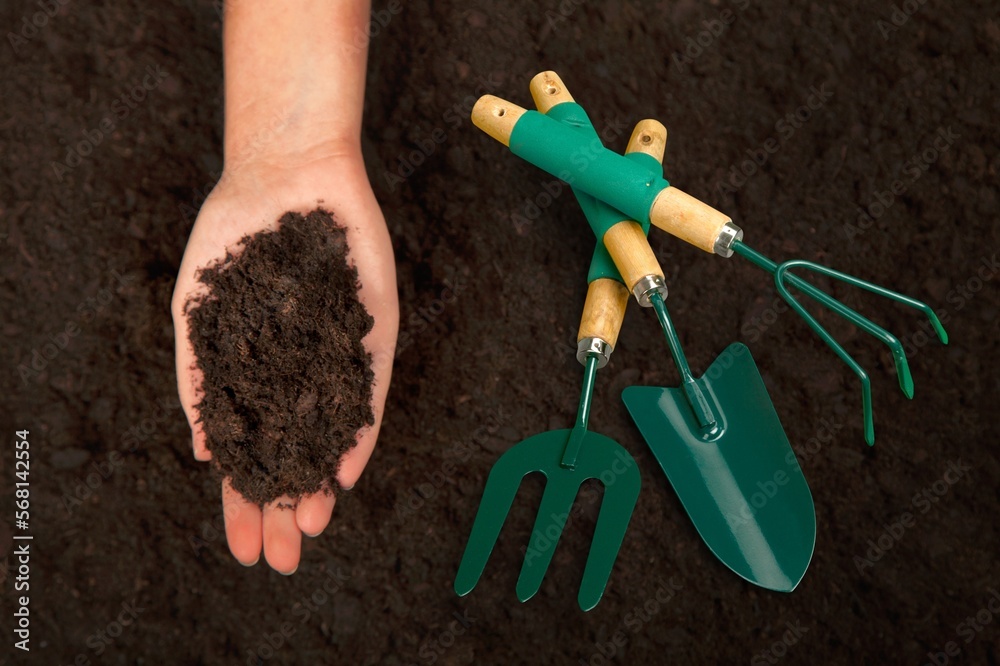 Tools for pruning trees on ground in garden Tools for pruning trees on ground in garden