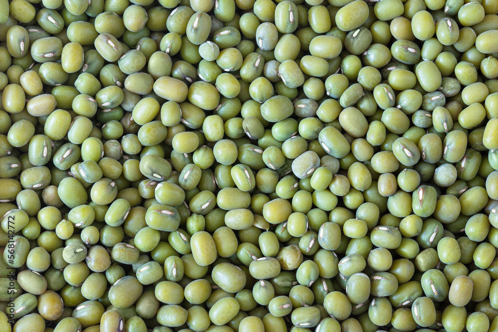 Mung bean background, green beans, Phaseolus aureus, top view. Mung bean background, green beans, Phaseolus aureus, top view.