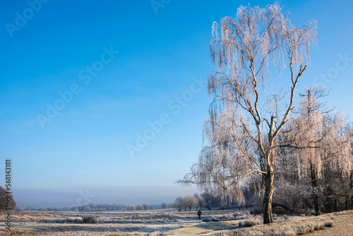 Stunning Winter sunrise lan...