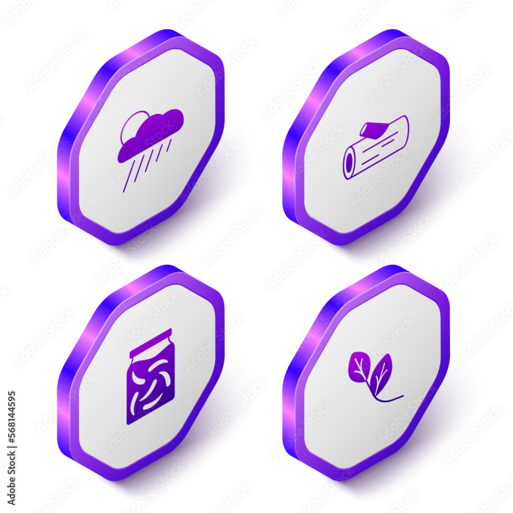 Set Isometric Cloud with rain and sun, Wooden log, Pickled cucumbers jar and Leaf icon. Purple hexagon button. Vector Set Isometric Cloud with rain and sun, Wooden log, Pickled cucumbers jar and Leaf icon. Purple hexagon button. Vector