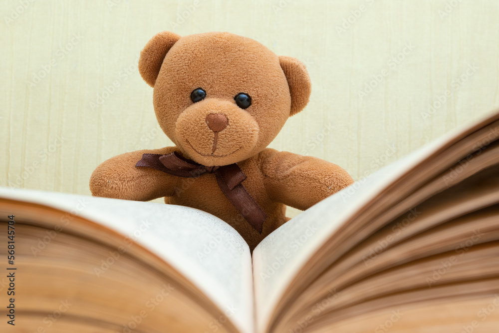Teddy bear and big open book