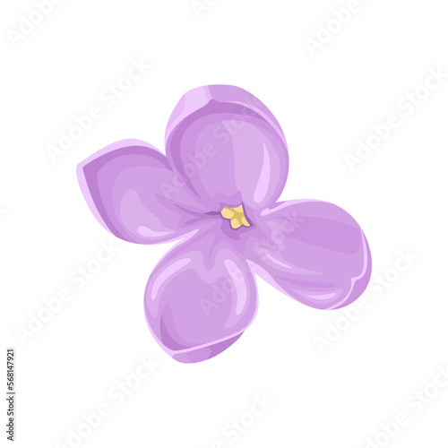 Lilac single flower isolated on white. Vector cartoon illustration of spring flower. Floral icon. © Sunnydream