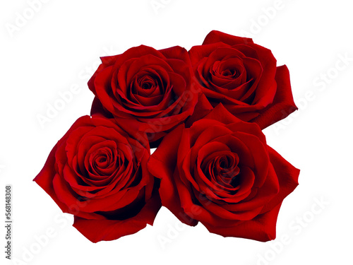 beautiful bouquet of red roses arrangement isolated on black background