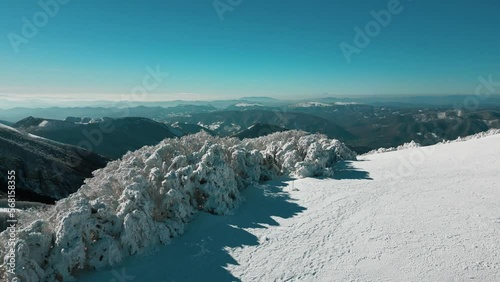Taken from above with a drone of Mount Catria in the province of Pesaro Urbino. The mountain is covered with a lot of fresh snow and the trees are full of snow and ice photo