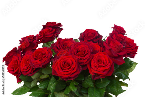 Fototapeta Naklejka Na Ścianę i Meble -  bunch of dark  red roses  close up